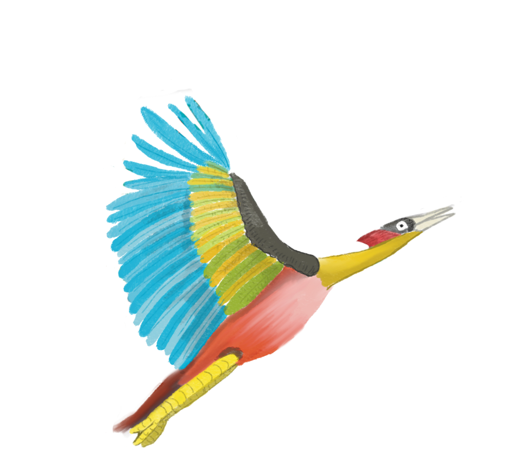 bird