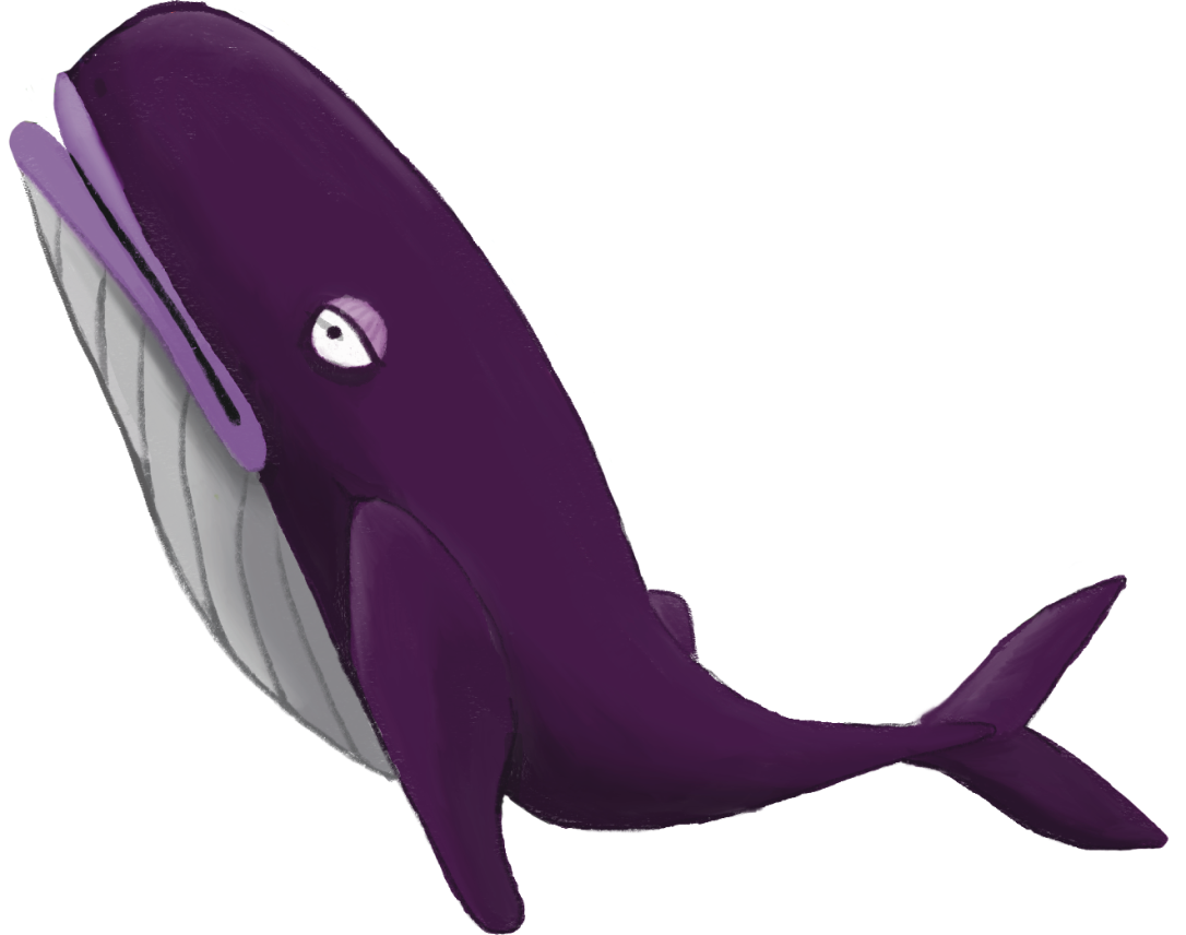 whale
